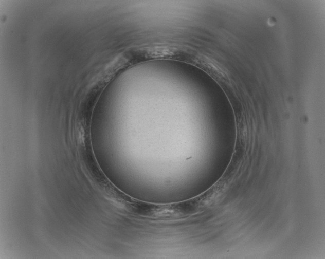 X0000076310315200610161625