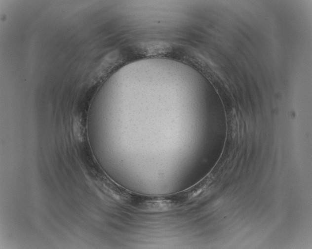 X0000076310316200610161625