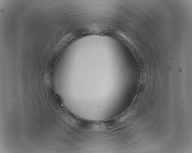 X0000076310317200610161625