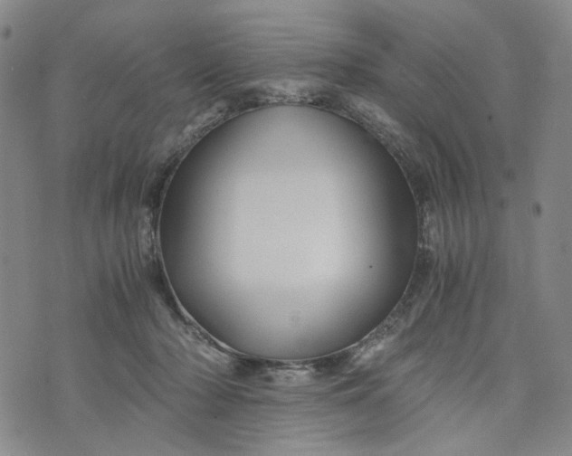 X0000076310318200610161625