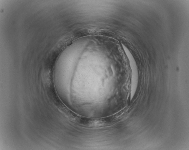 X0000076310319200610161625