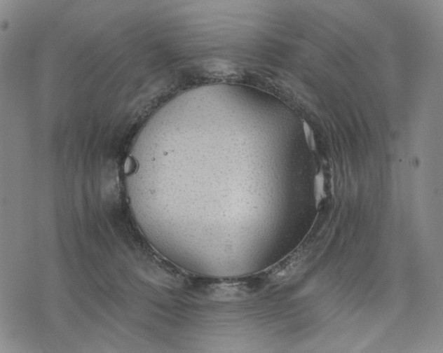 X0000076310320200610161625