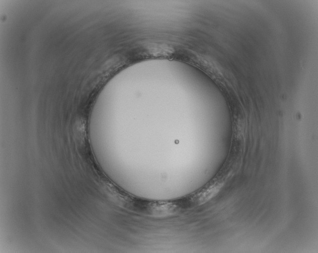 X0000076310321200610161625