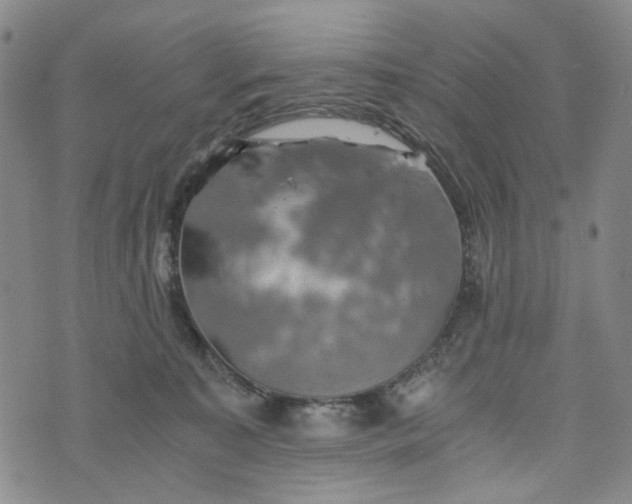 X0000076310323200610161625