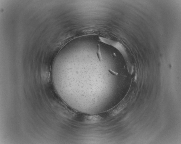 X0000076310324200610161625