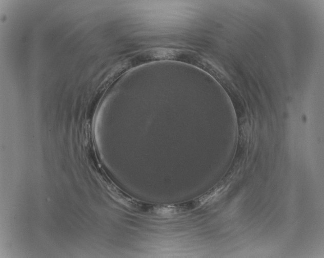 X0000076310325200610161625