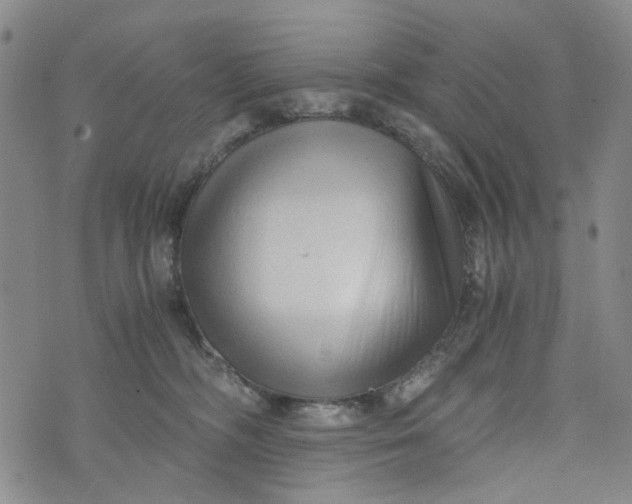 X0000076310326200610161625