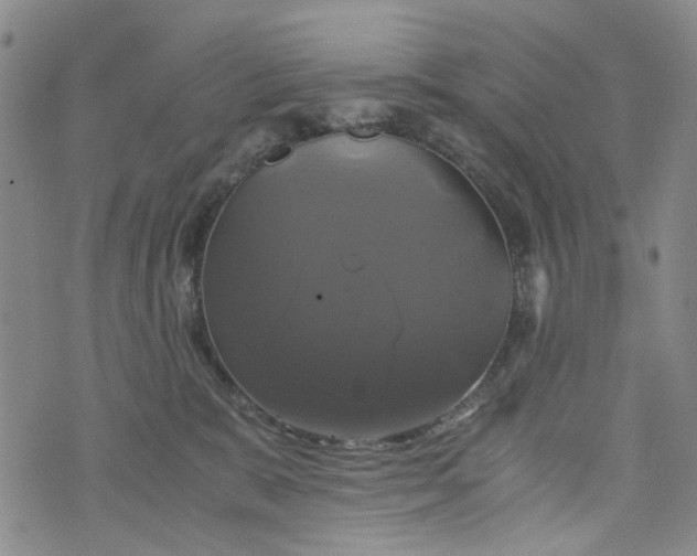 X0000076310327200610161625