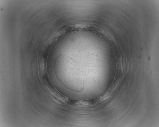 X0000076310328200610161625