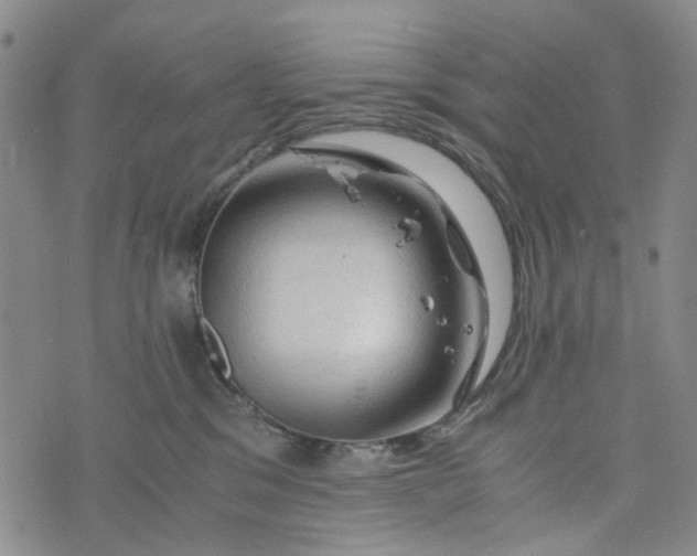 X0000076310329200610161625