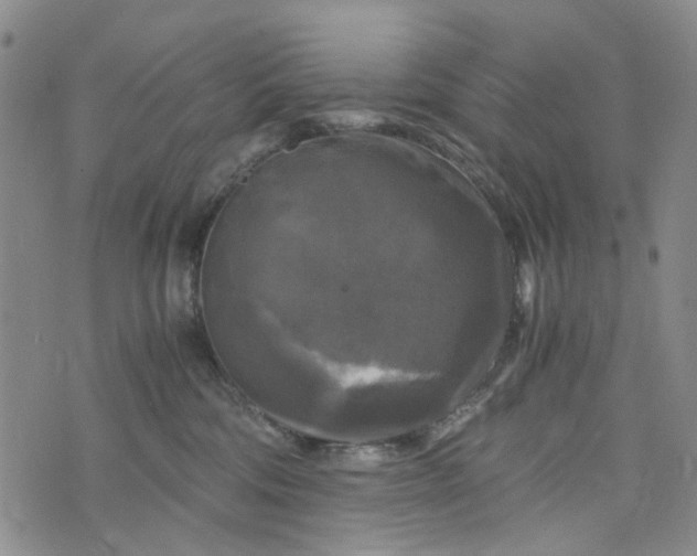 X0000076310330200610161625