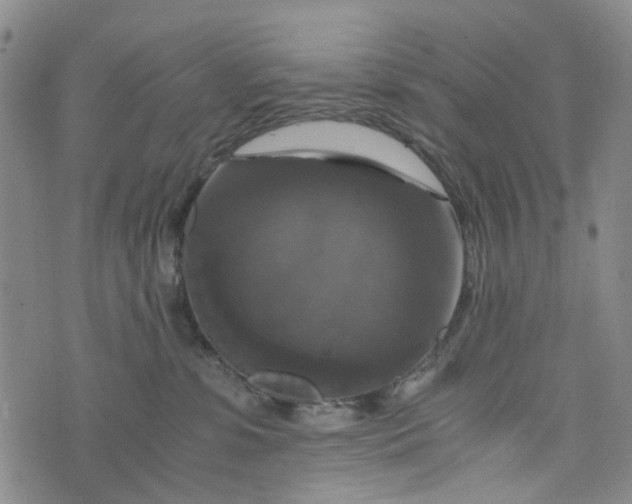 X0000076310331200610161625