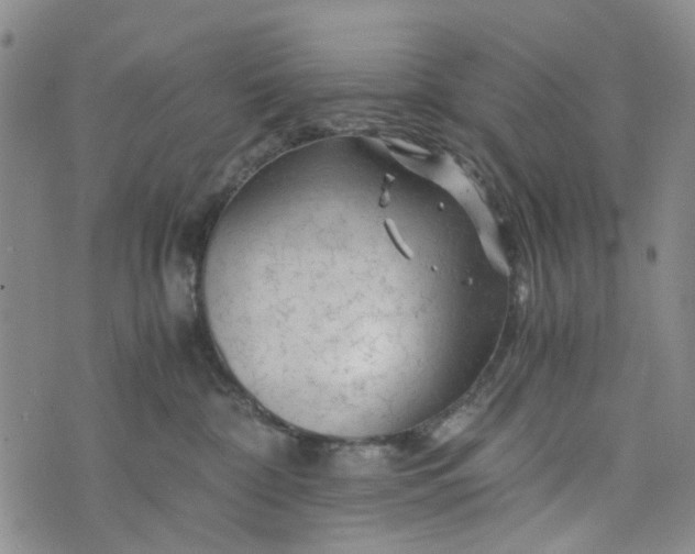 X0000076310332200610161625