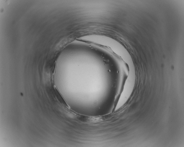 X0000076310333200610161625