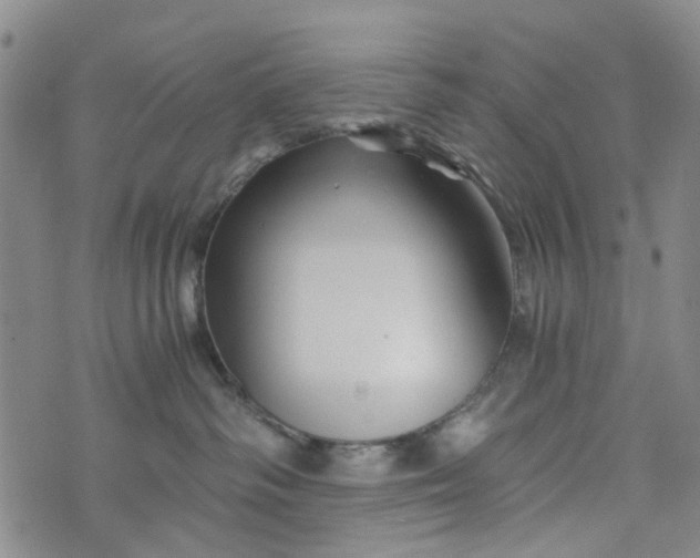 X0000076310334200610161625