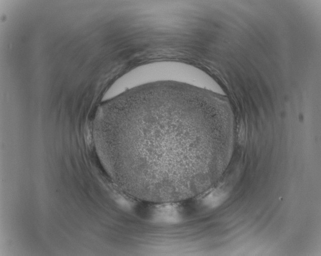 X0000076310335200610161625