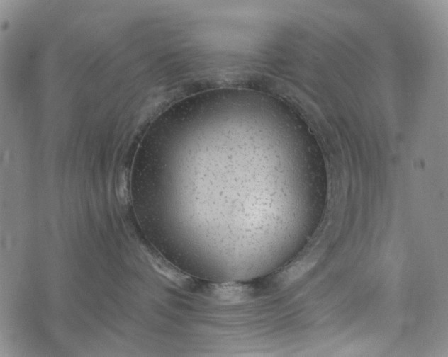 X0000076310336200610161625