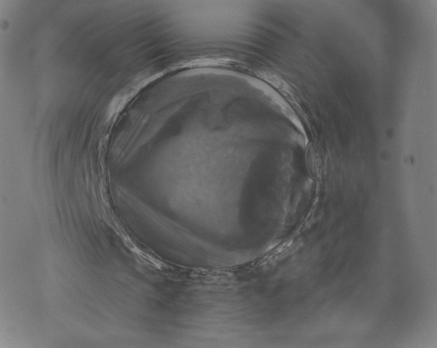 X0000076310337200610161624