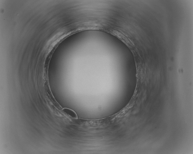 X0000076310338200610161624