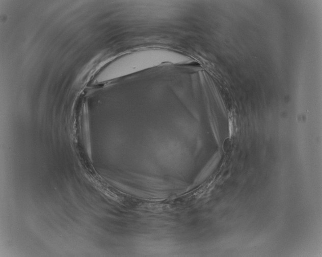 X0000076310339200610161624