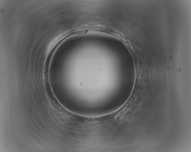 X0000076310340200610161624