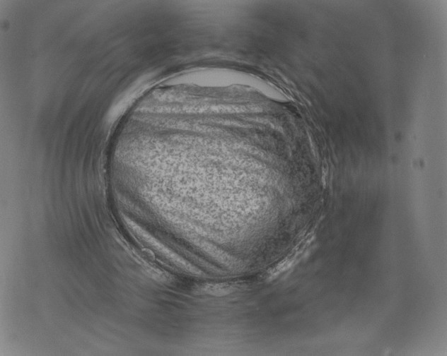 X0000076310341200610161624