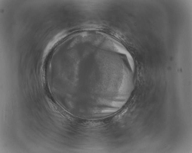 X0000076310343200610161624