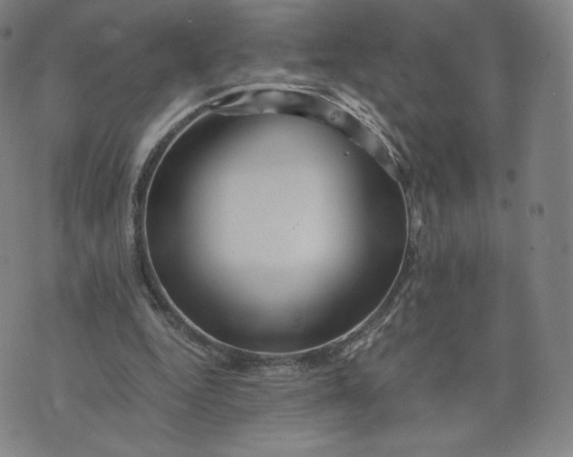 X0000076310344200610161624