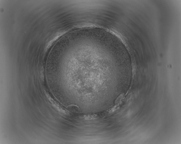 X0000076310345200610161624