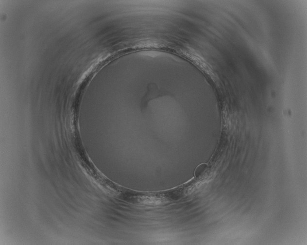 X0000076310347200610161624