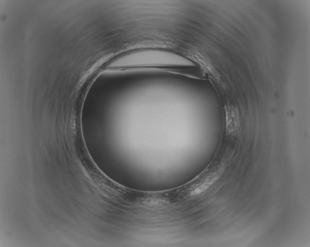 X0000076310348200610161624