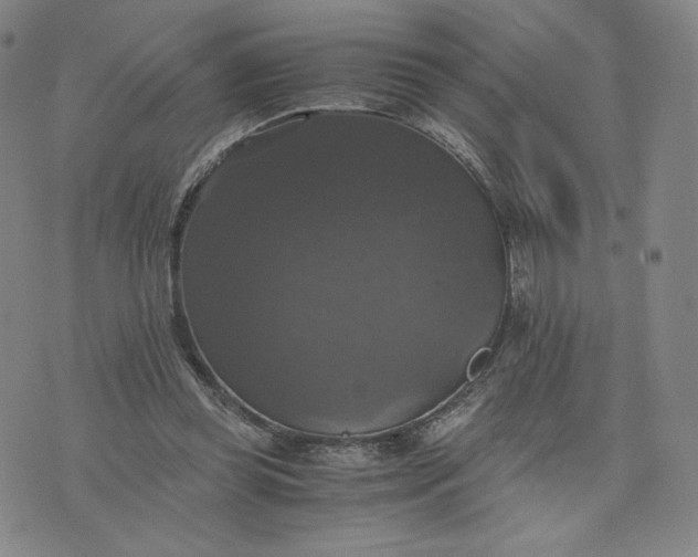 X0000076310349200610161624