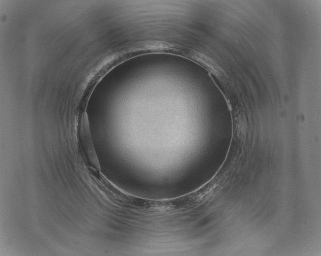 X0000076310350200610161624