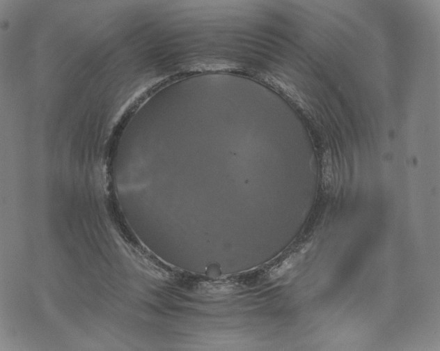 X0000076310351200610161624