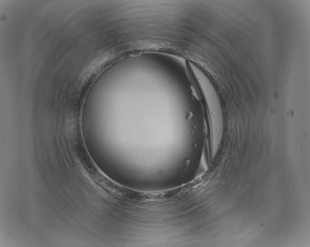 X0000076310352200610161624