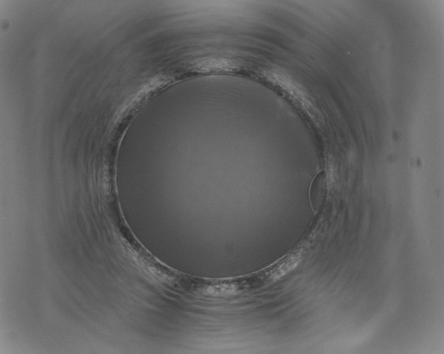 X0000076310353200610161624