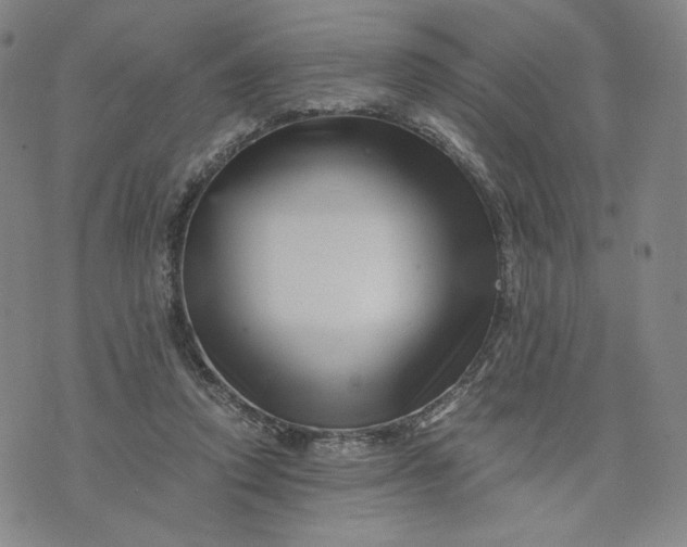 X0000076310354200610161624