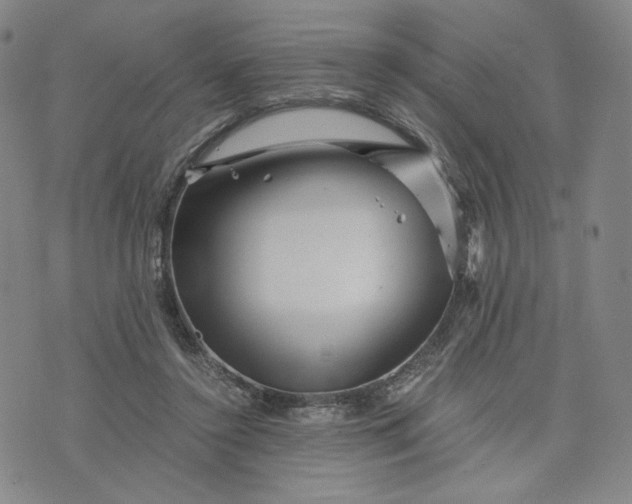 X0000076310356200610161624