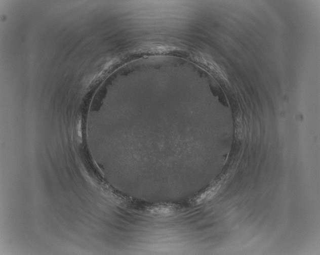 X0000076310358200610161624