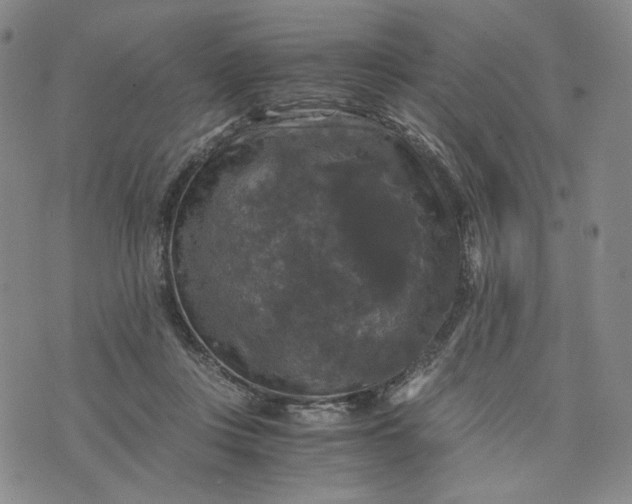 X0000076310359200610161624