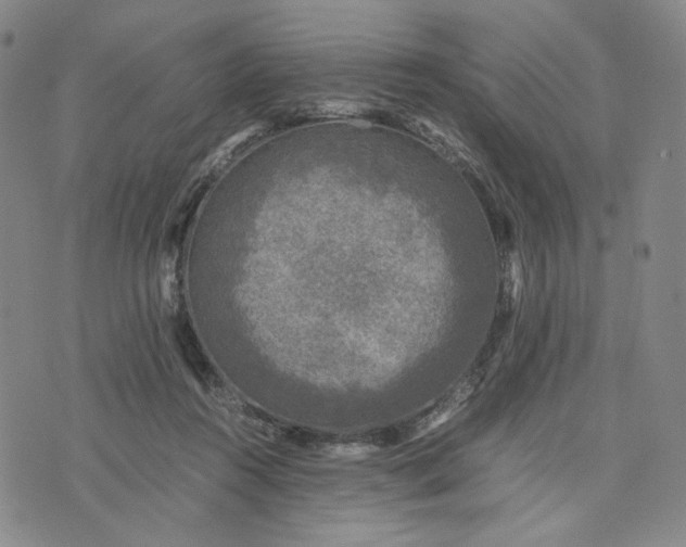 X0000076310360200610161624