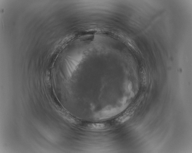 X0000076310361200610161624