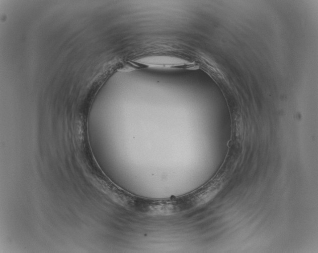 X0000076310362200610161624