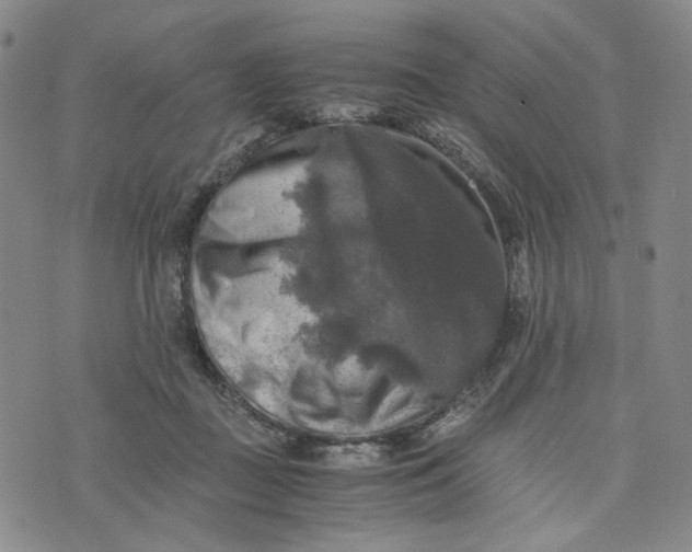 X0000076310363200610161624