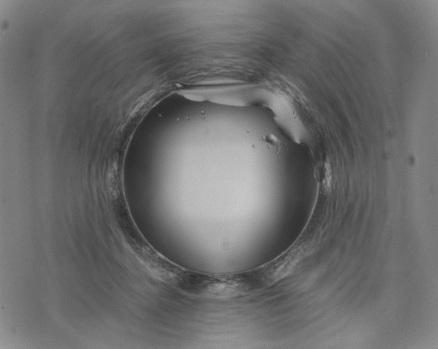 X0000076310364200610161624