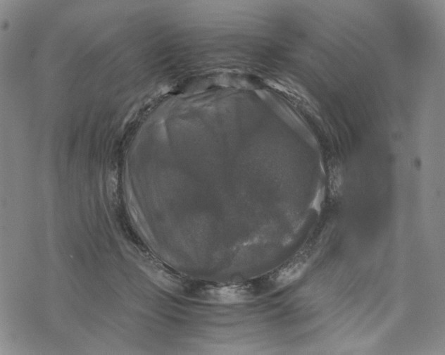 X0000076310365200610161625