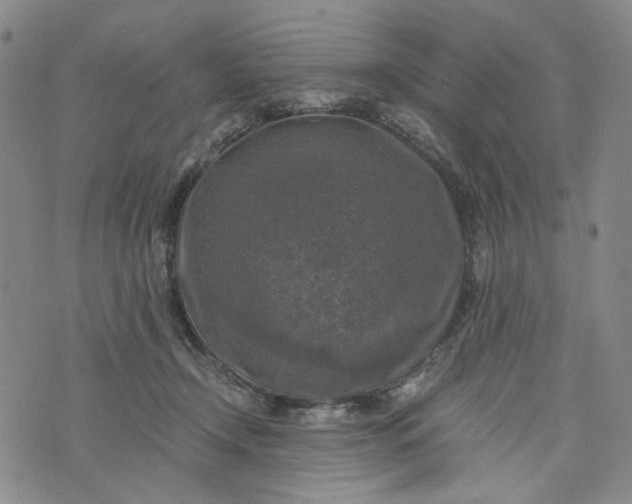 X0000076310366200610161625