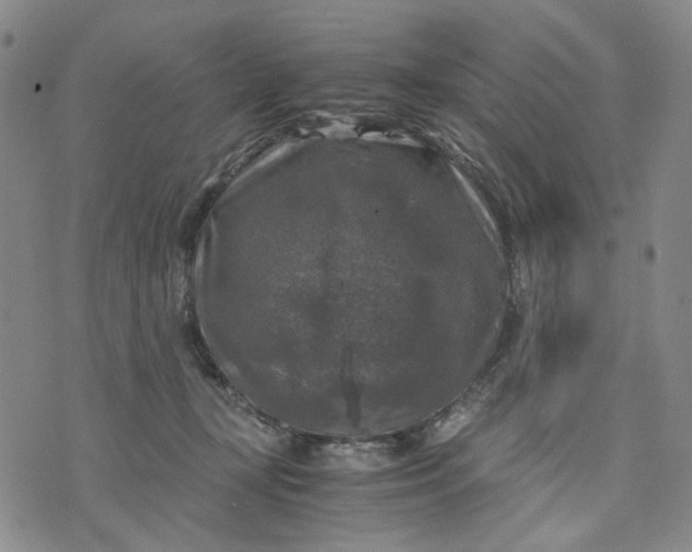 X0000076310367200610161625