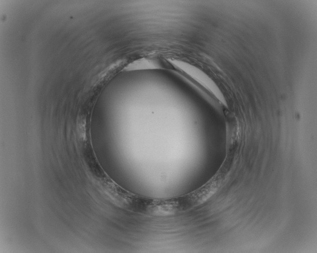 X0000076310368200610161625