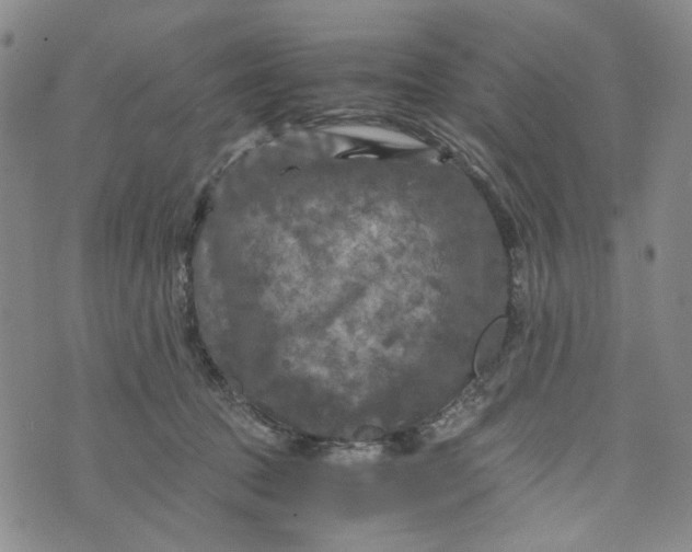 X0000076310369200610161625